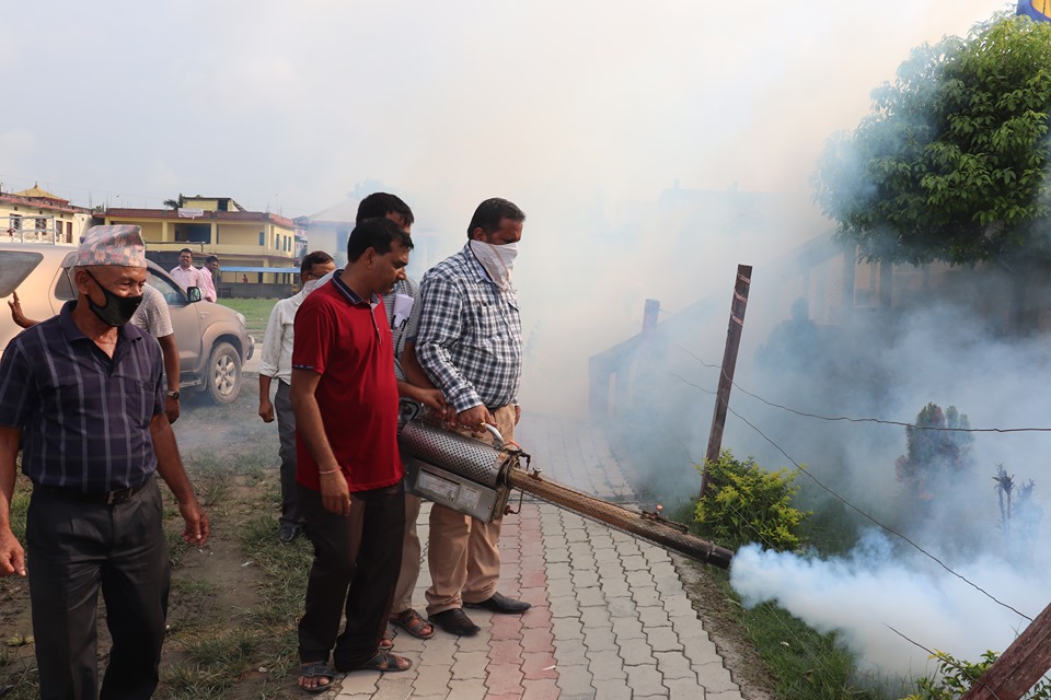 “सर्च एण्ड डिस्ट्रोइ” डेंगु अभियानमा विराटनगर