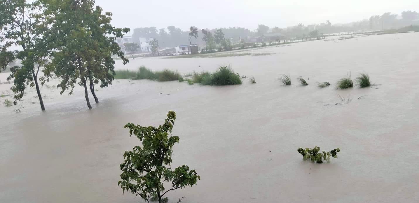 कोशी र बागमतीमा भारी वर्षा